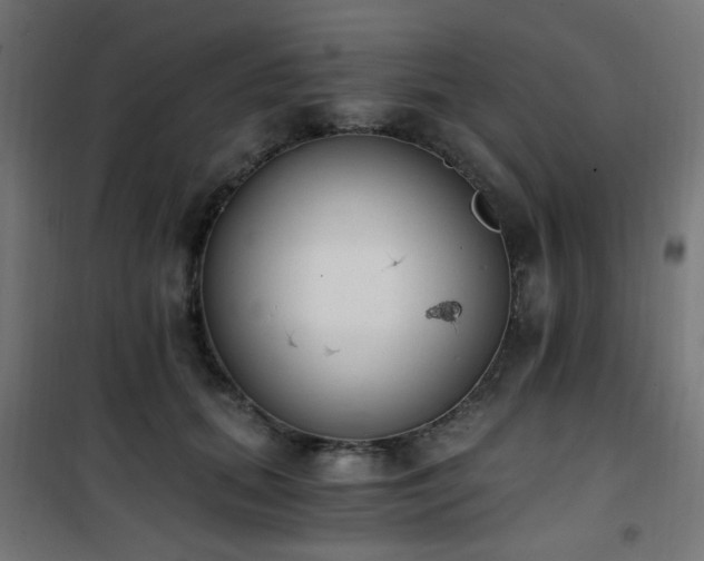 X0000101460655200807071432