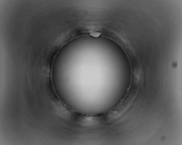 X0000101460657200807071432