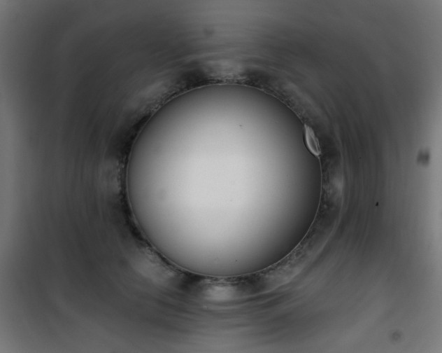 X0000101460658200807071432
