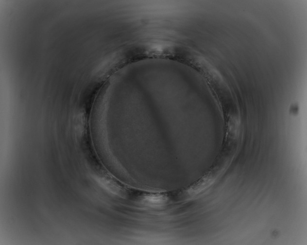 X0000101460659200807071432
