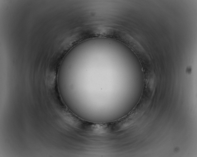 X0000101460660200807071432