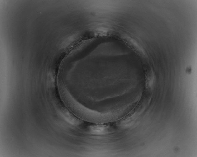 X0000101460661200807071432