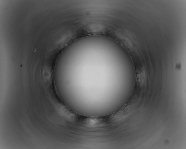 X0000101460662200807071432