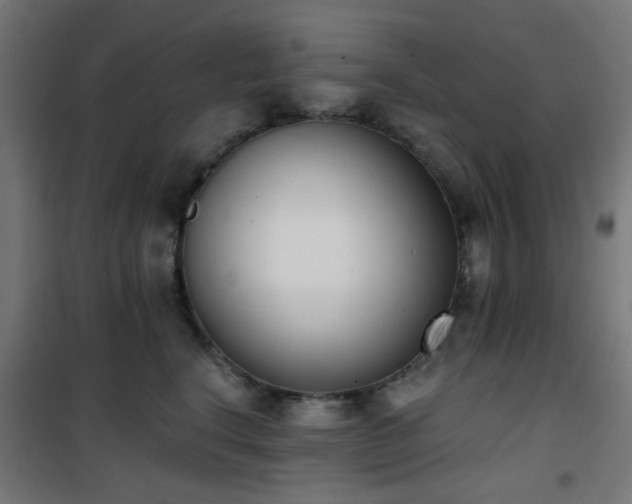 X0000101460664200807071432