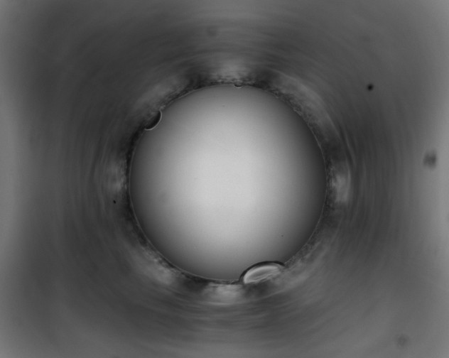 X0000101460665200807071432