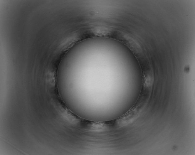 X0000101460666200807071432