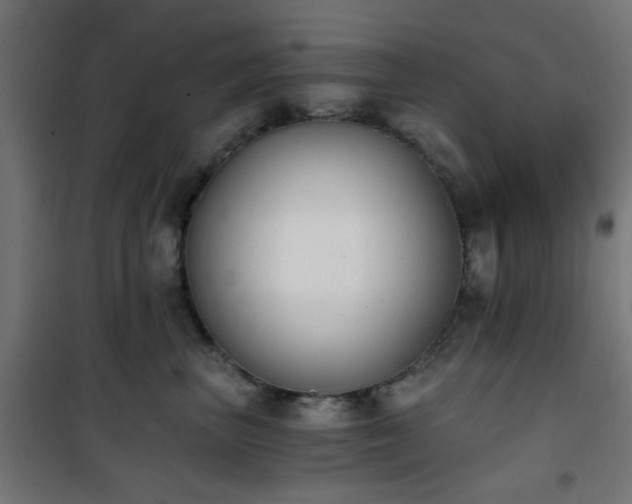 X0000101460667200807071432