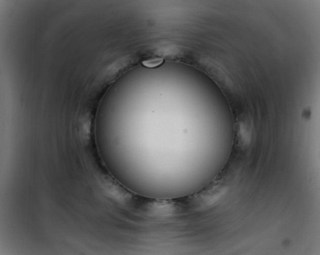 X0000101460668200807071432