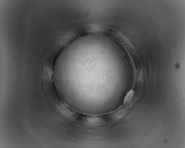 X0000101460669200807071432