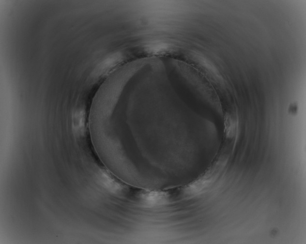 X0000101460670200807071432