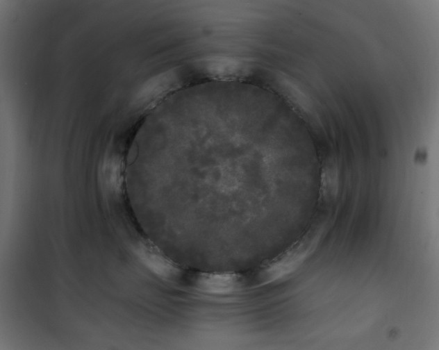 X0000101460671200807071432