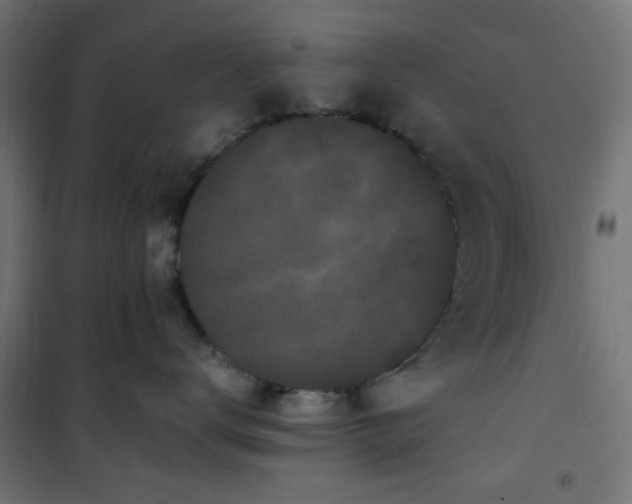 X0000101460672200807071432