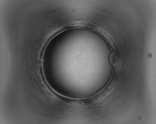 X0000101460673200807071431