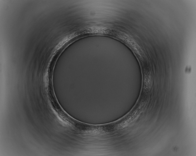 X0000101460674200807071431