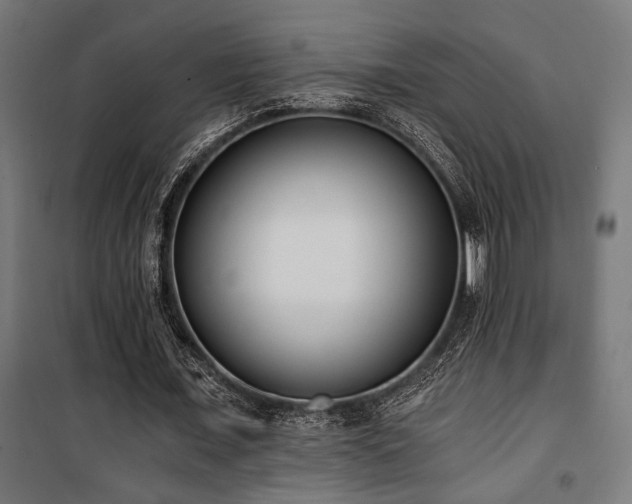 X0000101460675200807071431