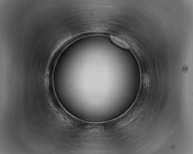 X0000101460676200807071431