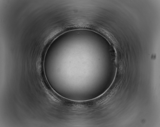X0000101460677200807071431