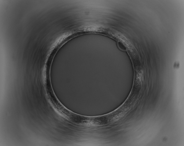X0000101460678200807071431