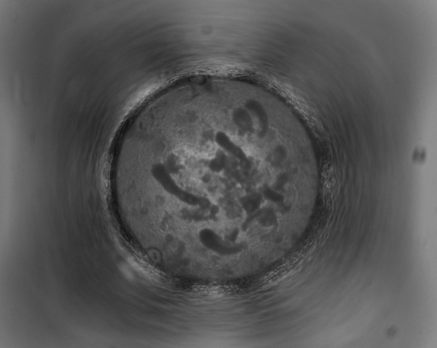 X0000101460679200807071431