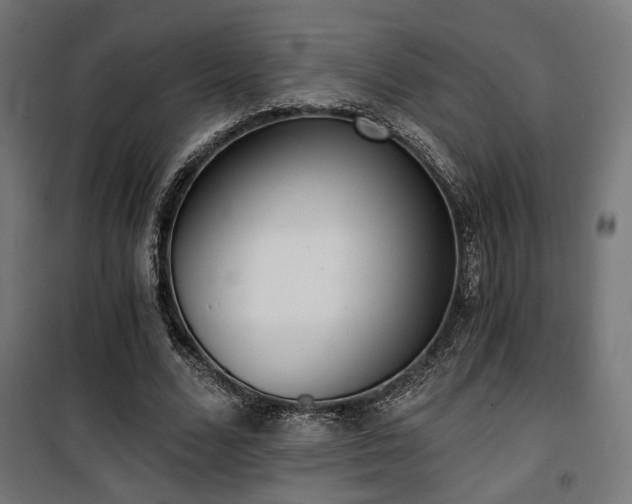 X0000101460680200807071431