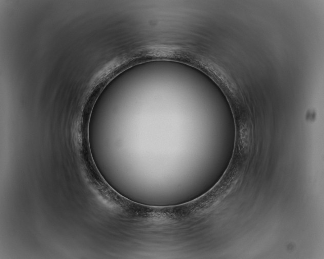 X0000101460682200807071431