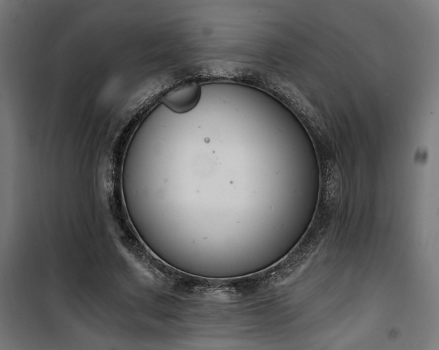 X0000101460683200807071431