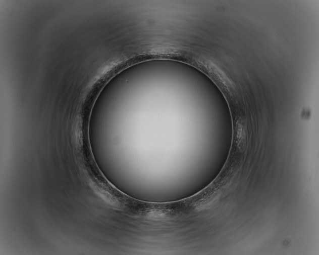 X0000101460684200807071431