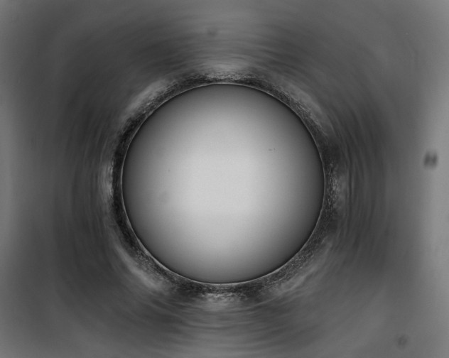 X0000101460686200807071431