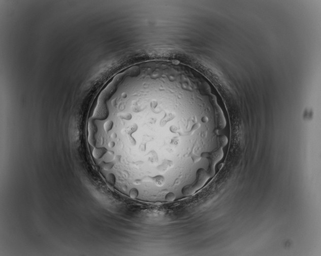 X0000101460687200807071431