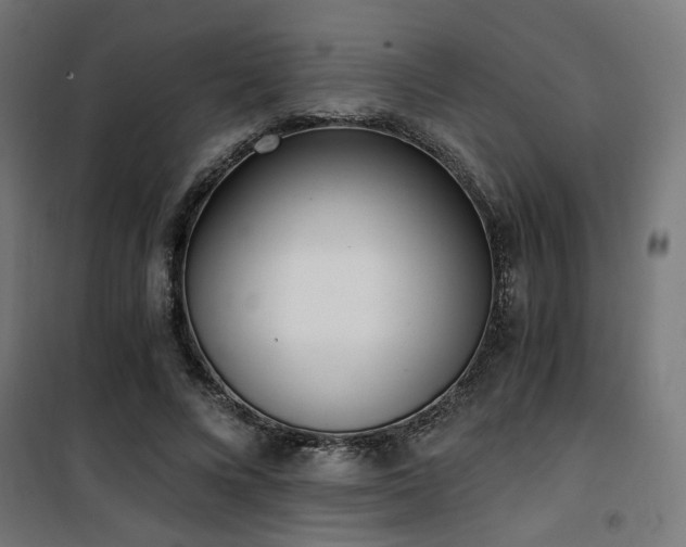 X0000101460688200807071431
