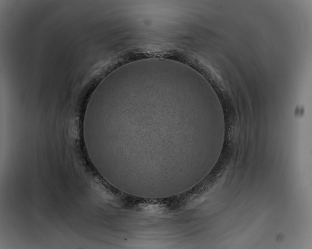 X0000101460689200807071431