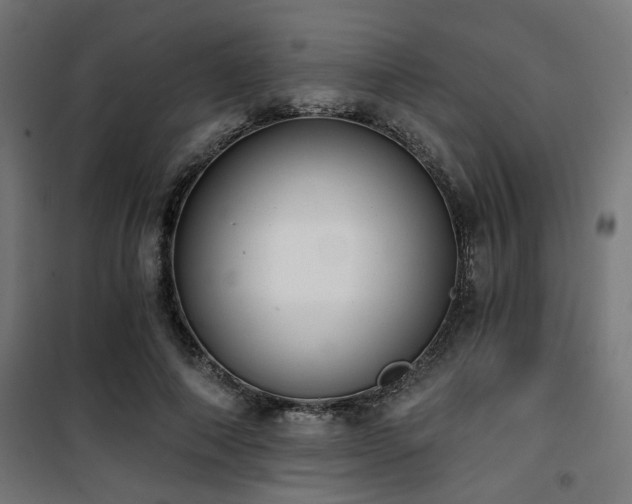 X0000101460690200807071431