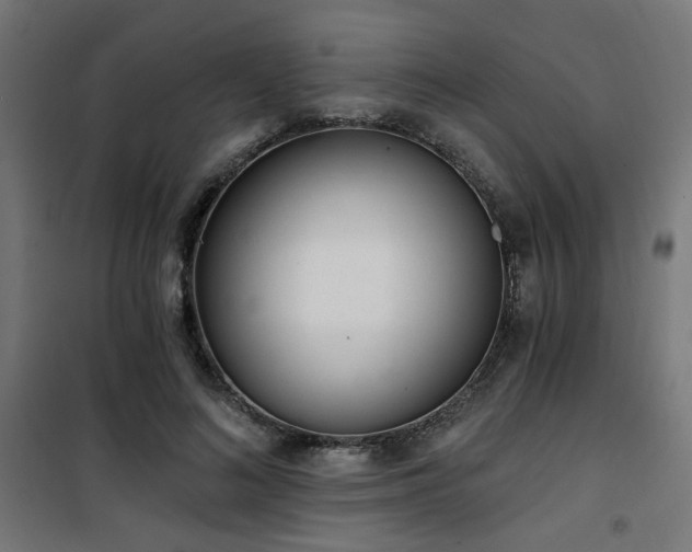 X0000101460692200807071431