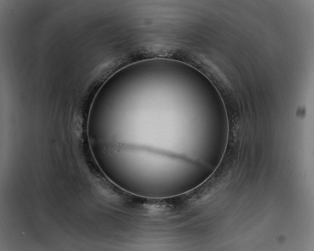 X0000101460693200807071431