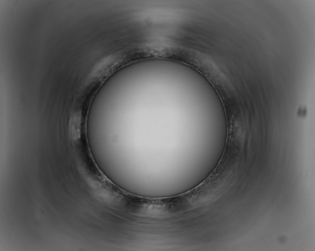 X0000101460694200807071431