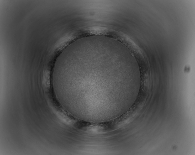 X0000101460696200807071431