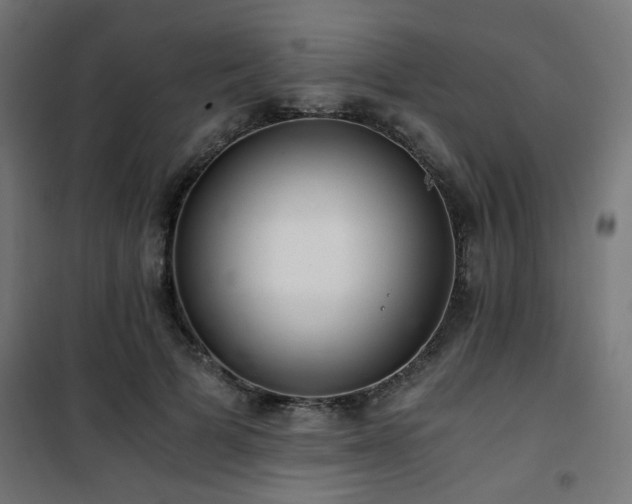 X0000101460697200807071431