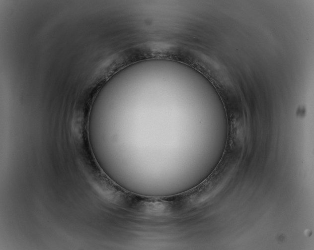 X0000101460698200807071431