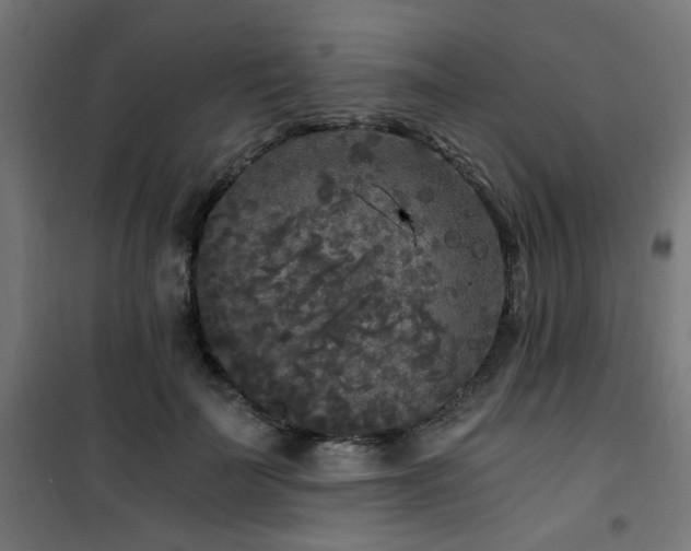 X0000101460699200807071431