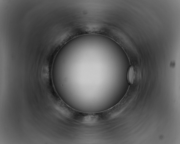 X0000101460700200807071431