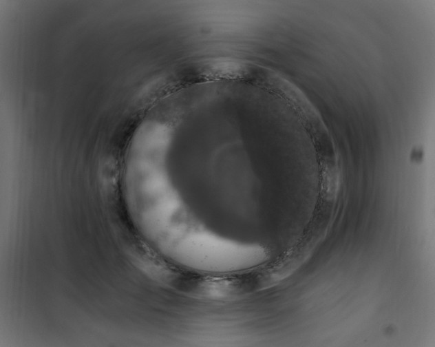 X0000101460701200807071431