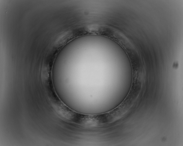 X0000101460702200807071431