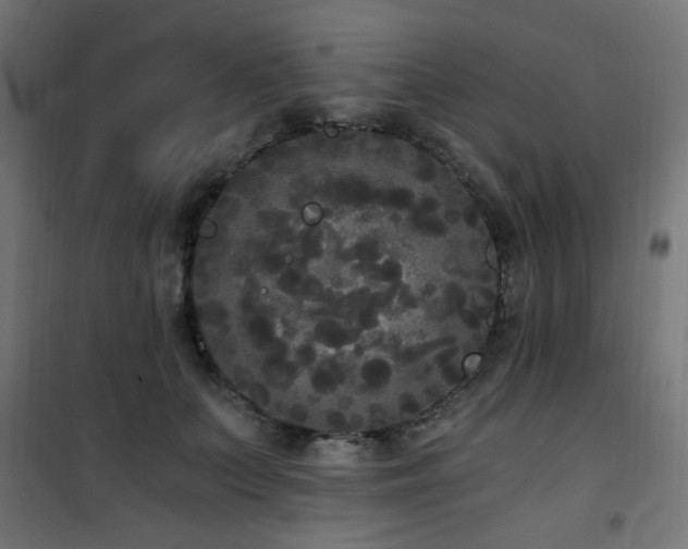 X0000101460703200807071431