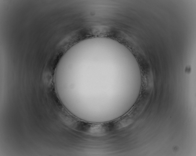X0000101460705200807071431