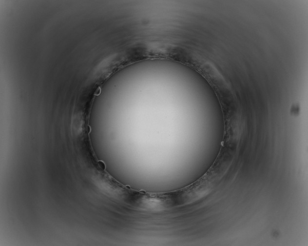 X0000101460706200807071431