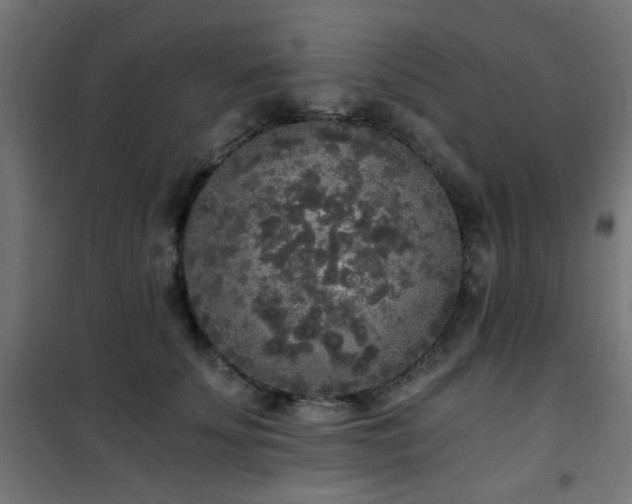 X0000101460707200807071431