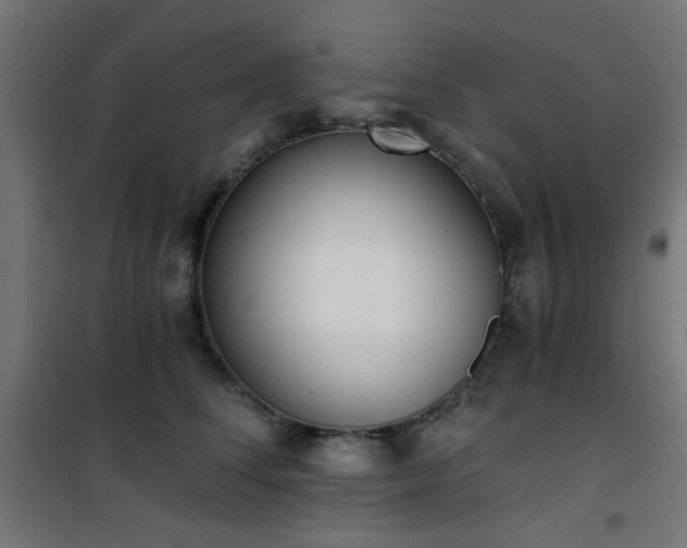 X0000101460708200807071431