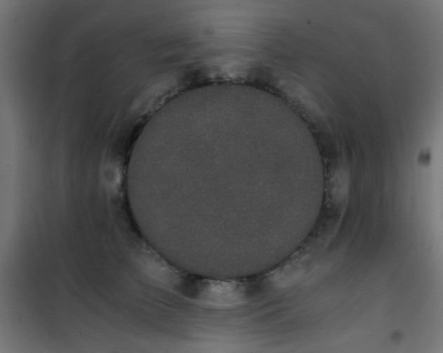X0000101460709200807071431