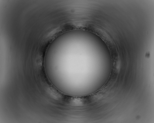 X0000101460710200807071431