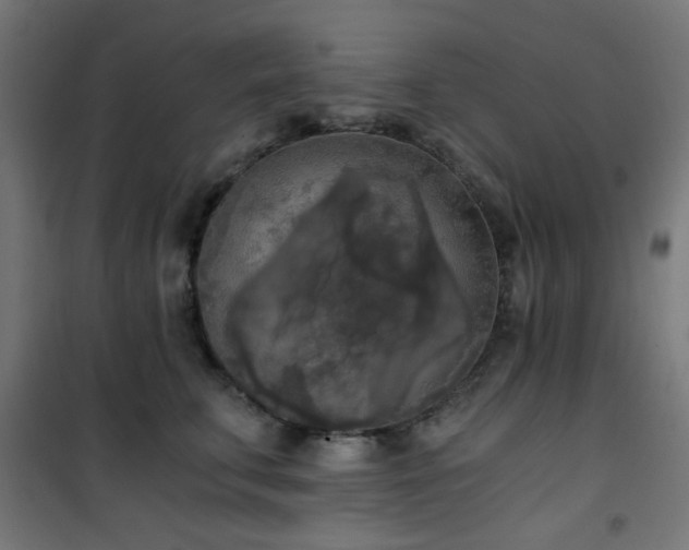 X0000101460711200807071431